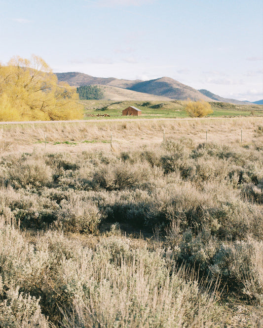 A Long Distance Life with David Coggins