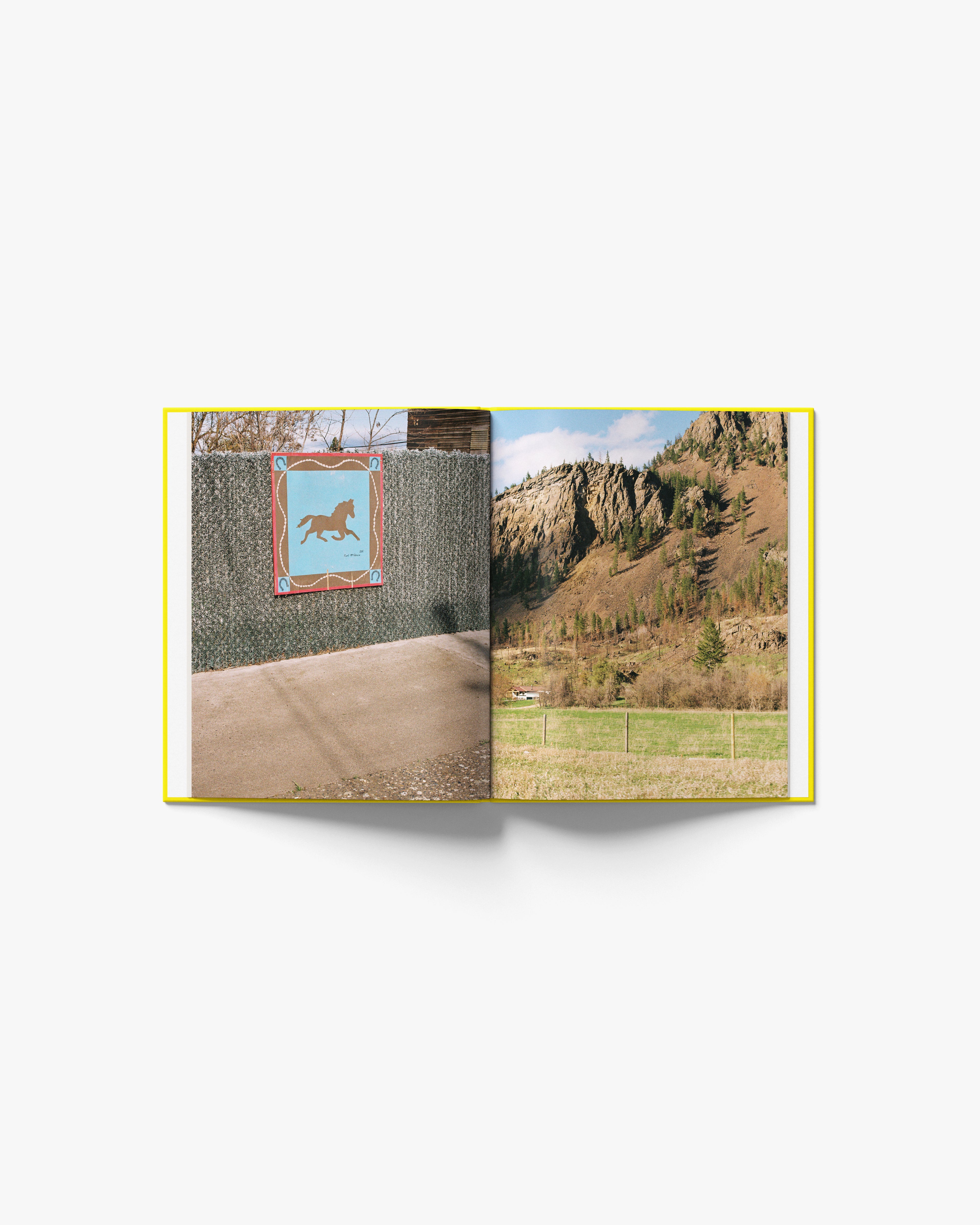 Eighty Seven (Hardcover Book)