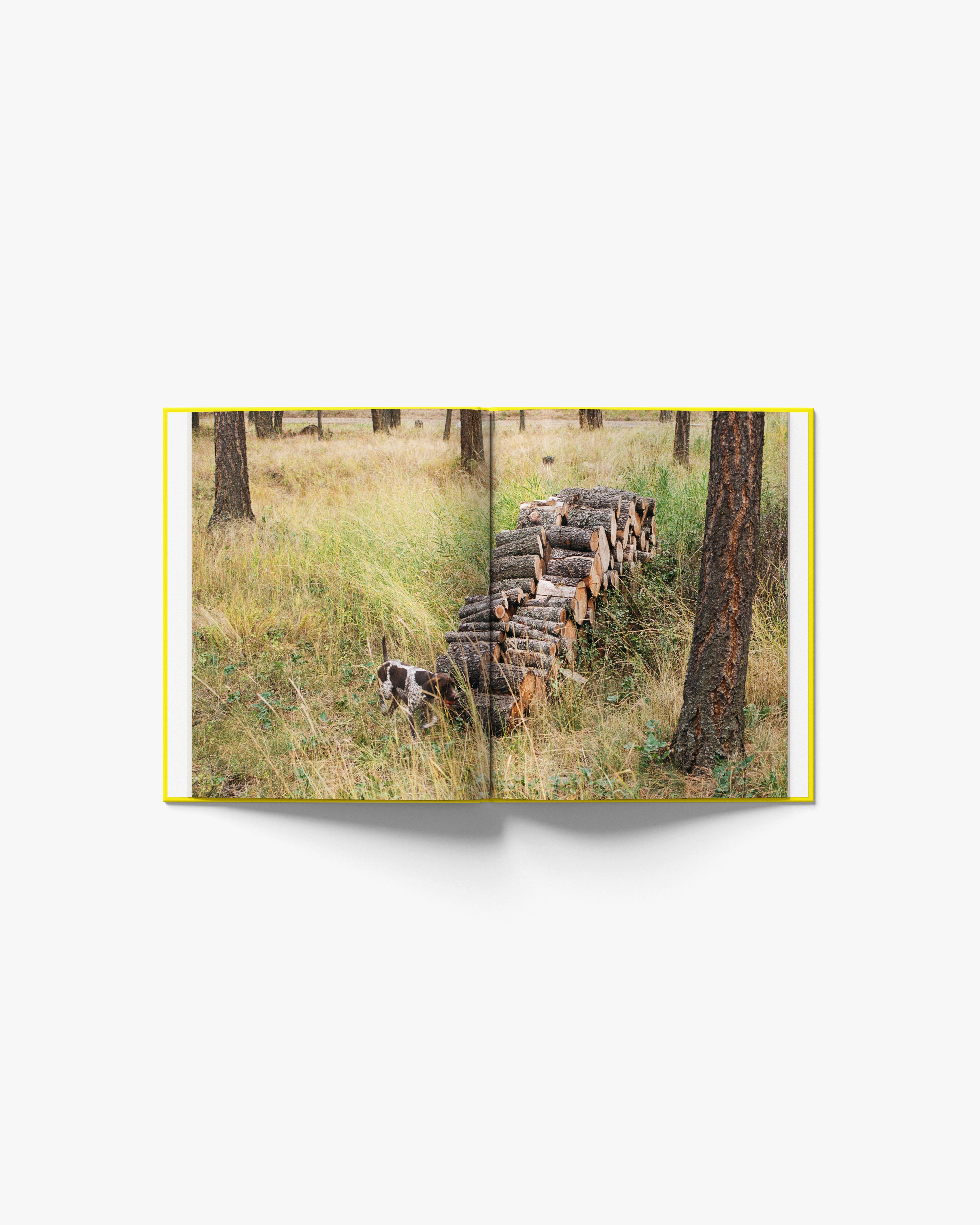 Eighty Seven (Hardcover Book)
