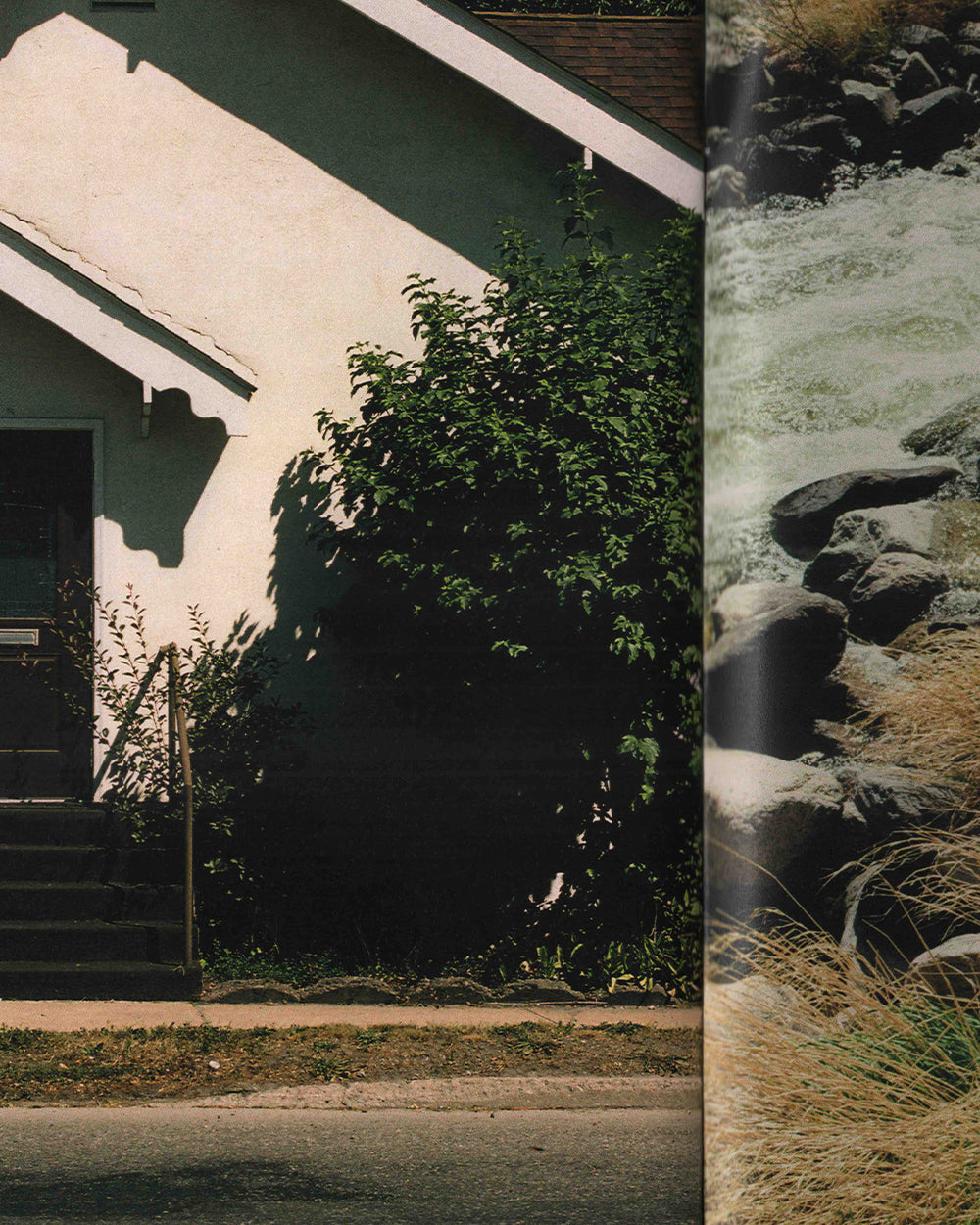 American Reality (Friend Editions)